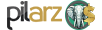 پیل ارز